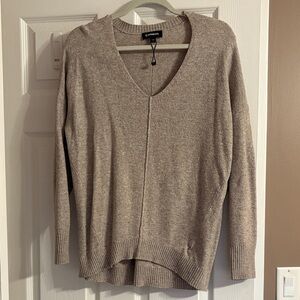 Express Women's V-Neck Sweater in Beige